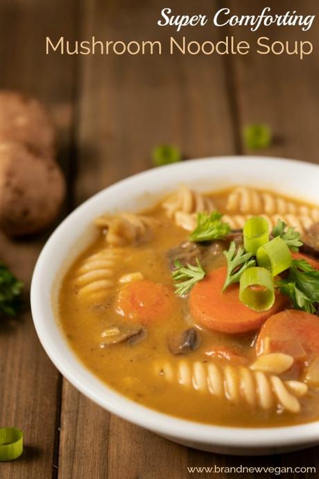 mushroom noodle soup