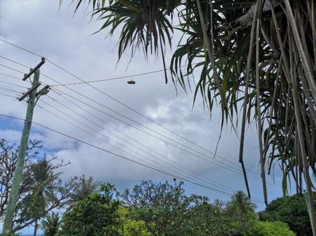 Backpacking in Nauru: Top 8 Sights in Meneng Province Backpacking in Nauru: Top 8 Sights in Meneng Province