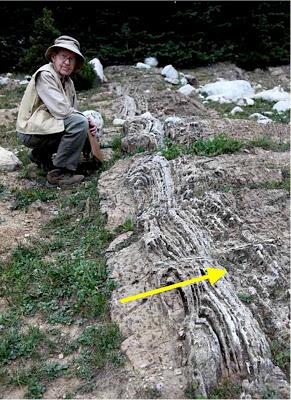Communicating Earth Science: Stromatolite Stroll