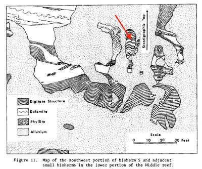 Communicating Earth Science: Stromatolite Stroll