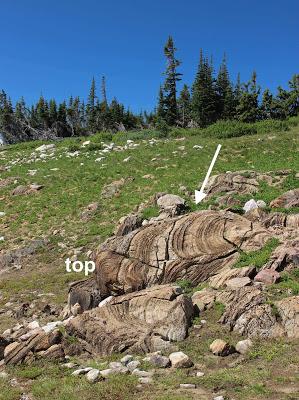 Communicating Earth Science: Stromatolite Stroll