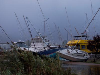 In the aftermath of Sandy