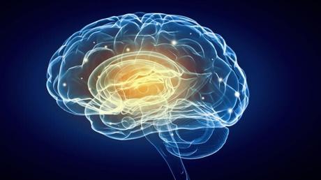 Do Brain Supplements Make Us Smarter
