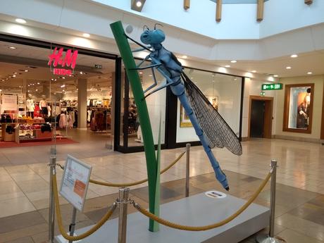 Big Bugs Big Bugs