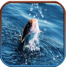 Best Fishing Games iPhone 