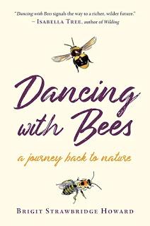 Book Review - Dancing with Bees by Brigit Strawbridge Howard