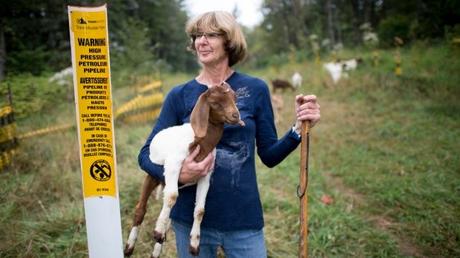 Construction of Trans Mountain pipeline expansion still faces hurdles