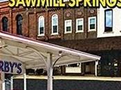 Susan Reviews Sawmill Springs Gerri Hill