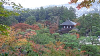 Travel Guide: Kyoto