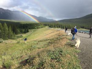 Two Weeks in the Canadian Rockies and NW Montana