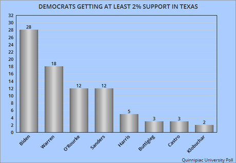 Two New Polls Have Biden And Warren Leading In Texas