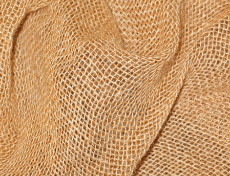 Top Largest Agricultural Products In India