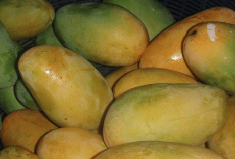 Top Largest Agricultural Products In India