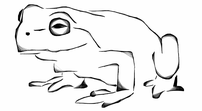 July 4th at Good Harbor – A Two Minute Meditation July 4th at Good Harbor – A Two Minute Meditation