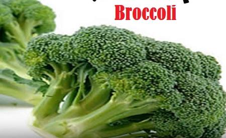 11 Best Foods For Boosting Your Immune System, बेस्ट फ़ूड फॉर इम्यून सिस्टम