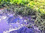 Amazing Solutions Water Remedies That Could Help Resolve Crisis