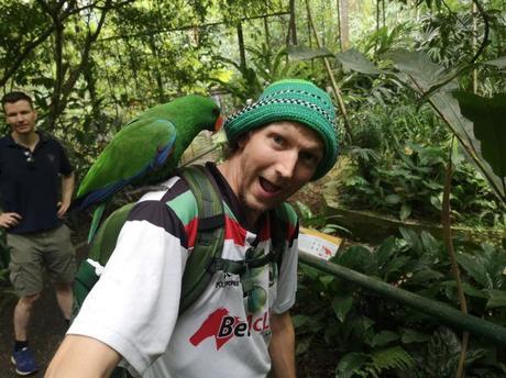 Backpacking in Papua New Guinea: Top 14 Sights in Port Moresby Backpacking in Papua New Guinea: Top 14 Sights in Port Moresby