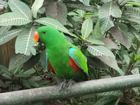 Backpacking in Papua New Guinea: Top 14 Sights in Port Moresby Backpacking in Papua New Guinea: Top 14 Sights in Port Moresby