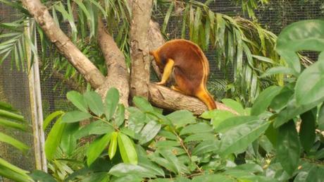 Backpacking in Papua New Guinea: Top 14 Sights in Port Moresby Backpacking in Papua New Guinea: Top 14 Sights in Port Moresby