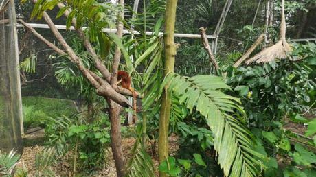 Backpacking in Papua New Guinea: Top 14 Sights in Port Moresby Backpacking in Papua New Guinea: Top 14 Sights in Port Moresby