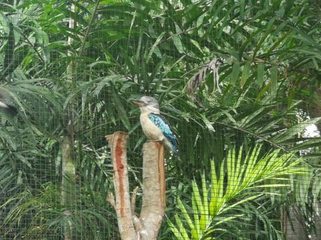 Backpacking in Papua New Guinea: Top 14 Sights in Port Moresby Backpacking in Papua New Guinea: Top 14 Sights in Port Moresby
