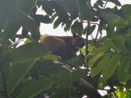 Backpacking in Papua New Guinea: Top 14 Sights in Port Moresby Backpacking in Papua New Guinea: Top 14 Sights in Port Moresby