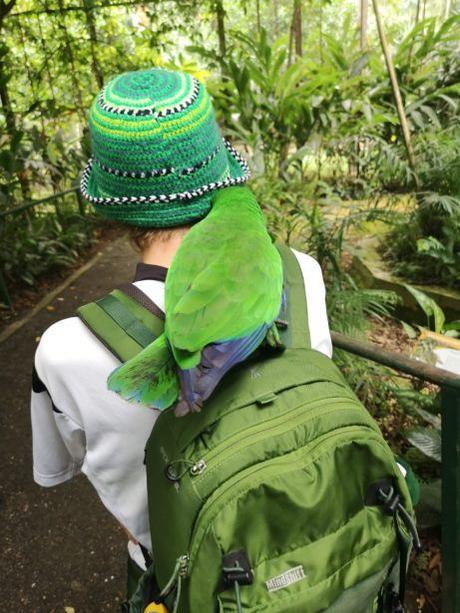 Backpacking in Papua New Guinea: Top 14 Sights in Port Moresby Backpacking in Papua New Guinea: Top 14 Sights in Port Moresby