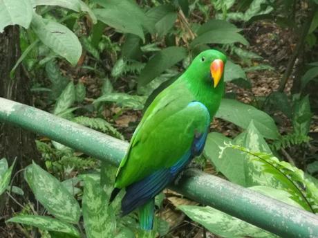 Backpacking in Papua New Guinea: Top 14 Sights in Port Moresby Backpacking in Papua New Guinea: Top 14 Sights in Port Moresby