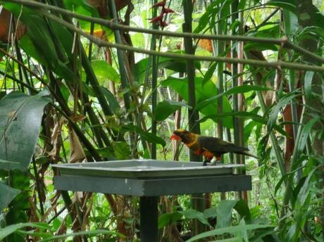 Backpacking in Papua New Guinea: Top 14 Sights in Port Moresby Backpacking in Papua New Guinea: Top 14 Sights in Port Moresby