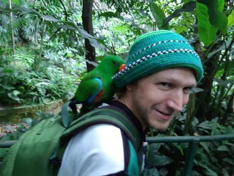 Backpacking in Papua New Guinea: Top 14 Sights in Port Moresby Backpacking in Papua New Guinea: Top 14 Sights in Port Moresby