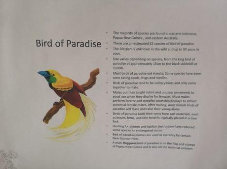 Backpacking in Papua New Guinea: Top 14 Sights in Port Moresby Backpacking in Papua New Guinea: Top 14 Sights in Port Moresby