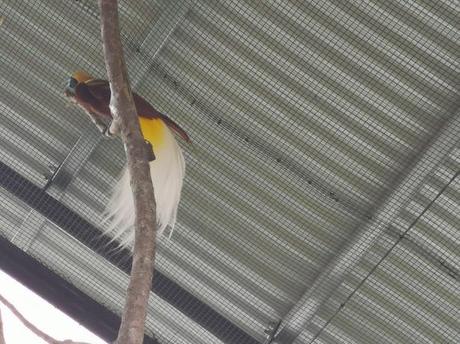 Backpacking in Papua New Guinea: Top 14 Sights in Port Moresby Backpacking in Papua New Guinea: Top 14 Sights in Port Moresby