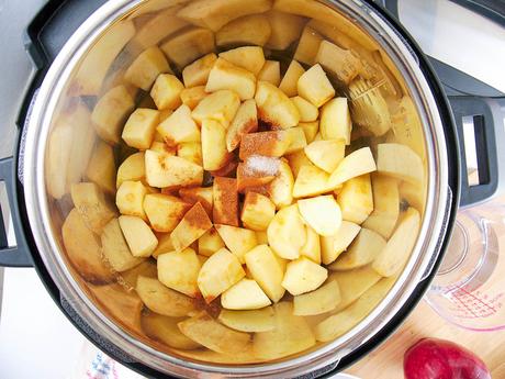 Instant Pot Applesauce with Cinnamon and Honey