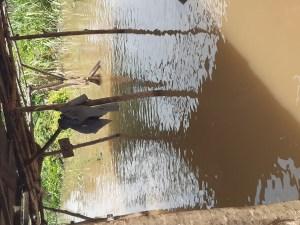 Residents count losses as flood ravages Ede community (PHOTOS)