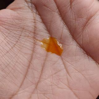 Moolit Beauty Sunshine Drops Review Moolit Beauty Sunshine Drops Review