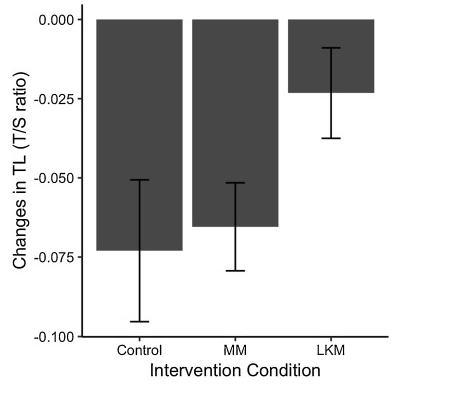 Loving kindness meditation slows cellular aging?