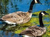 Into Jungle: Yesterday's Walk Liberty State Park