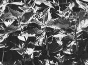 Beauty Products Should Sell Your Business