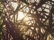 Took from Blogging: More Regulating Mind Zone]