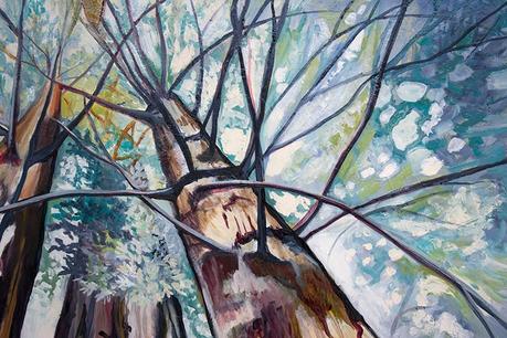 Mighty Triad: Redwood Forest Painting With Time Lapse Video