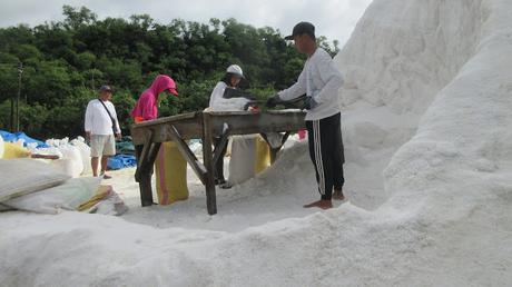 Visiting a Salt Farm for the First Time