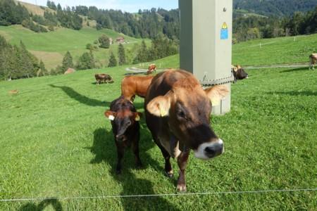 Autumn Equinox Celebration at the Paracelsus Centre Einsiedeln