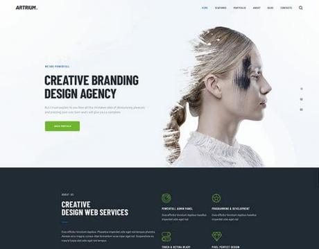20 Best Intranet And Extranet WordPress Themes intranet and extranet wordpress themes