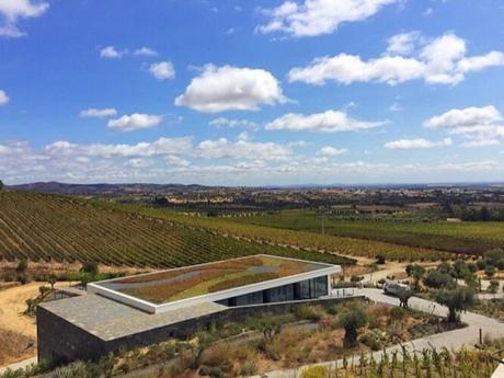 Discovering Alentejo, Portugal – glorious scenery and wine