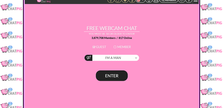21 Best Websites like Omegle to Chat with Strangers chatpig - alterative omegle