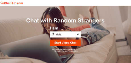 21 Best Websites like Omegle to Chat with Strangers chathub - website like omegle