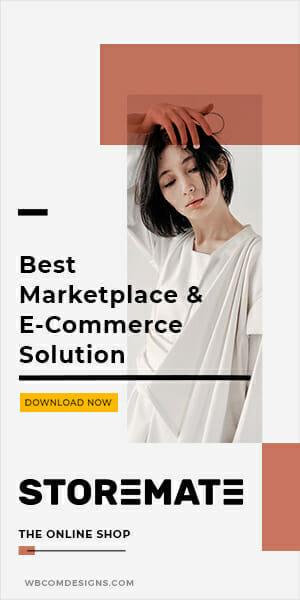 WordPress Marketplace Theme