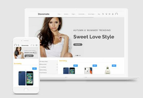 WordPress eCommerce Theme