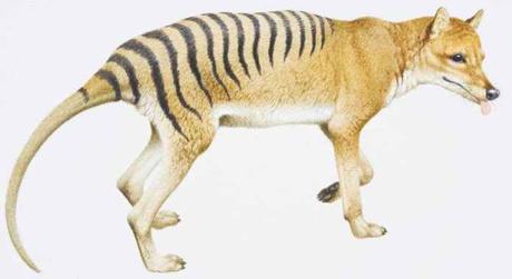 7 most famous extinct species that may come back to Earth once again