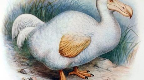 7 most famous extinct species that may come back to Earth once again